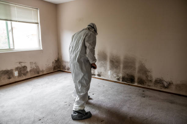 Asbestos and Lead Testing During Mold Inspection in Fort Clark Springs, TX